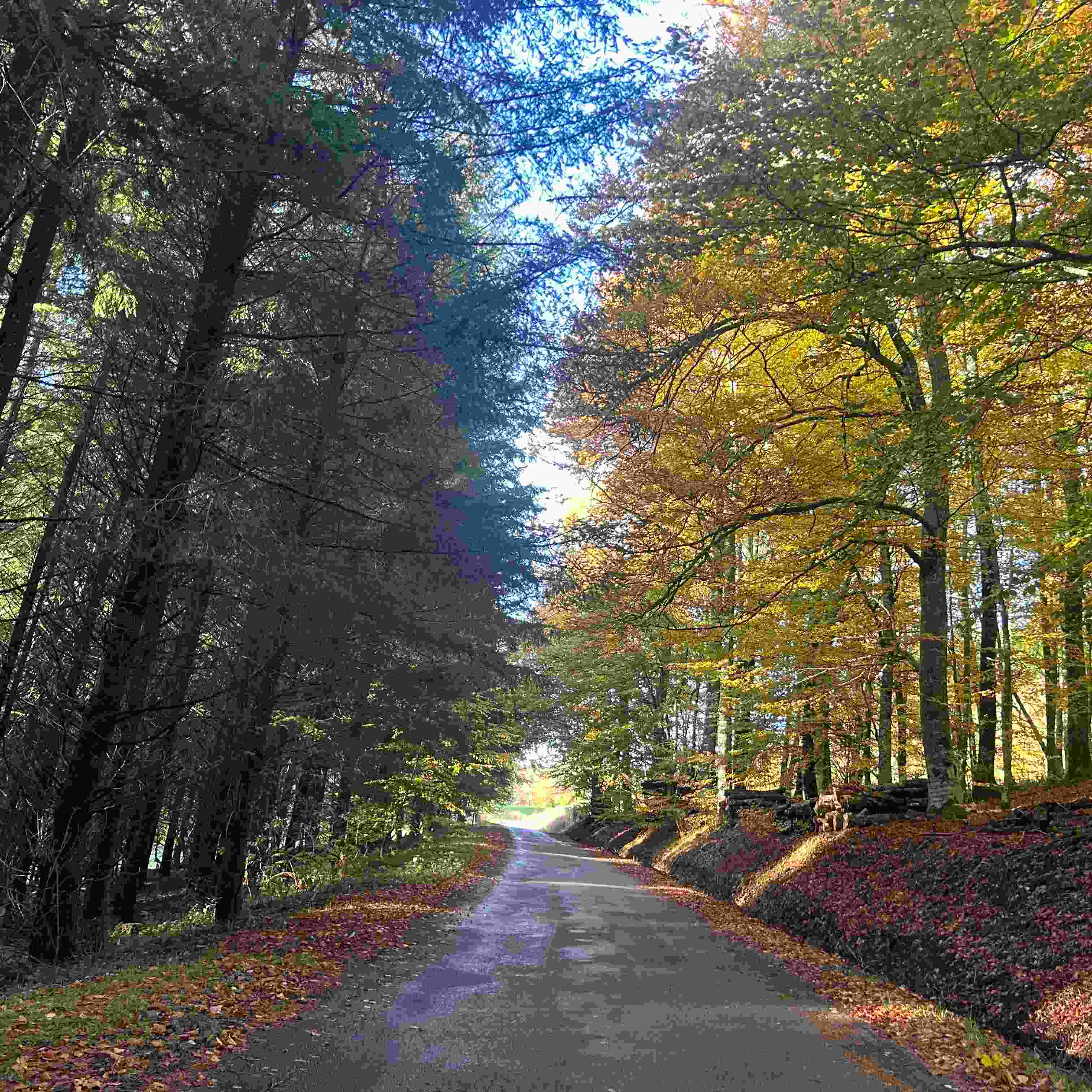 Photo de Daniel MERVAL